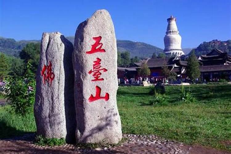 忻州政务大厅在哪里
