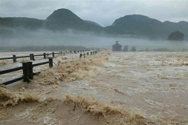 2025属鸡犯太岁吗