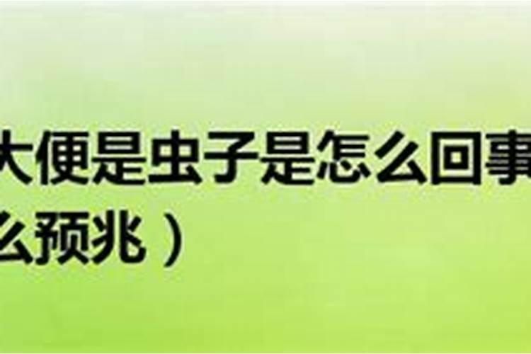 2025狗生肖的全年运势如何