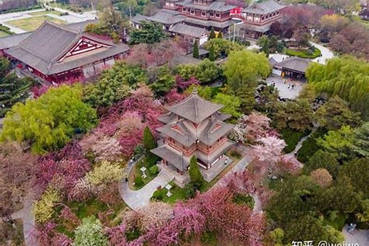 贺州冬天多少度,贺州旅游景点冬季