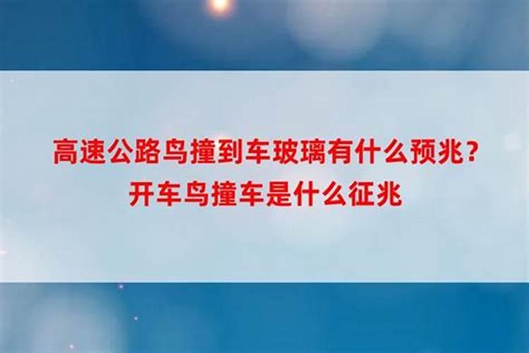 属猪的2025年的高考会怎么样
