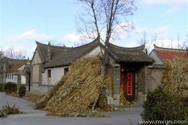 2025属猪今年有一难 属猪人2025年综合运势