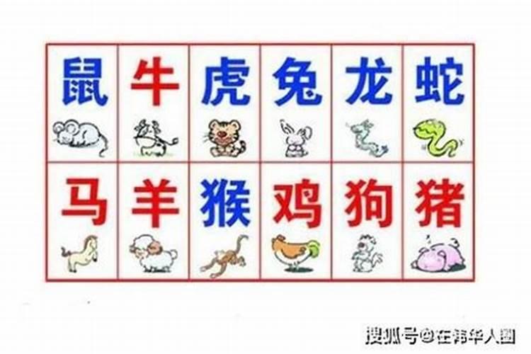 我是90年的马和79年的羊八字合不合