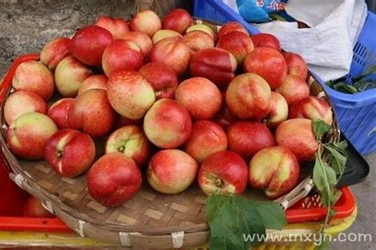 本命年戴红绳还是红玛瑙还是红朱砂