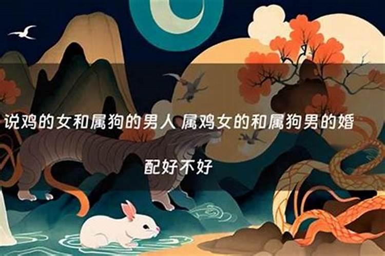 属鸡的和属狗的八字合不合适 属鸡和属狗的合适吗？