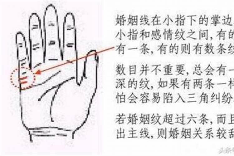 哪个时辰的人最好