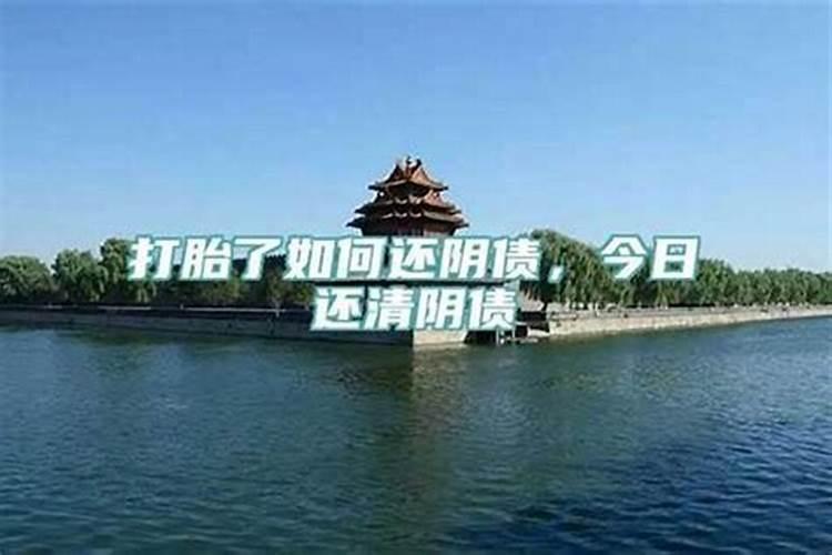 1980年属猴2024年冲太岁运气如何 80年42岁生肖猴犯太岁如何化解