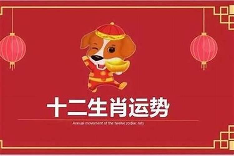 94属狗终身的大劫年 运势及运程？