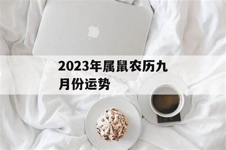 都说十鼠九苦火鼠之命,属鼠的人几月出生命最好