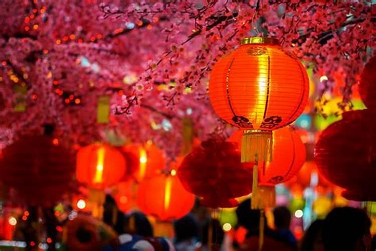 武汉春游踏青的地方有哪些