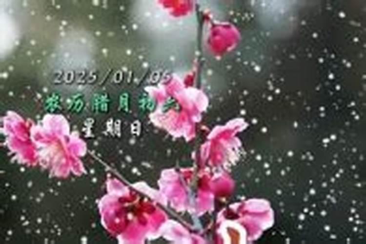 年初一能上坟吗