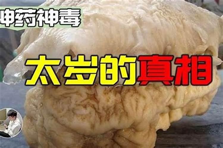 太岁到底是什么生物