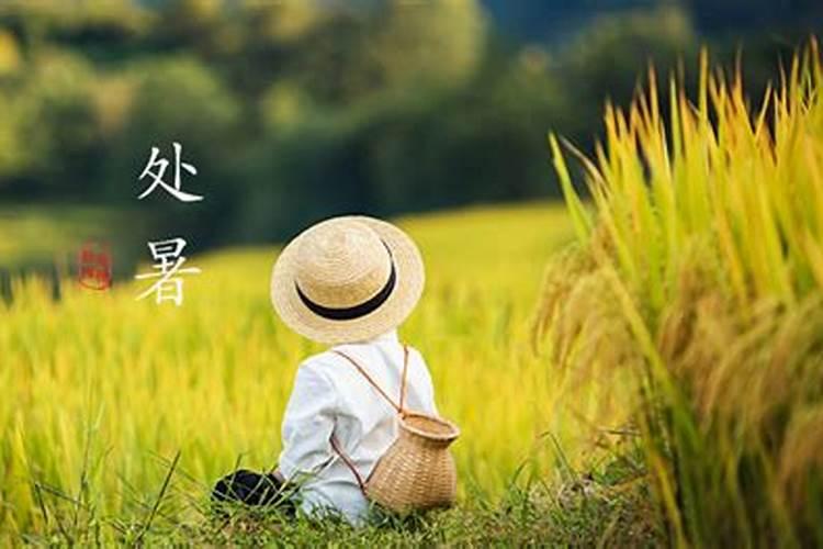 八字与太岁相冲结婚曰子订好了怎么办？