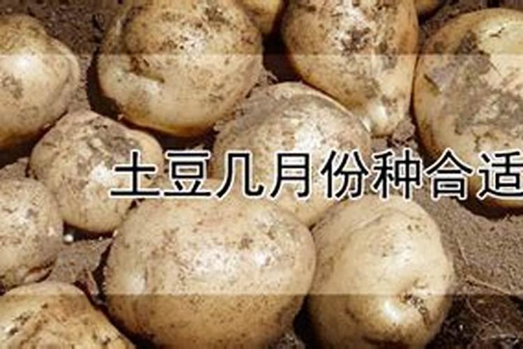 犯太岁的年份能结婚吗 结婚能开运
