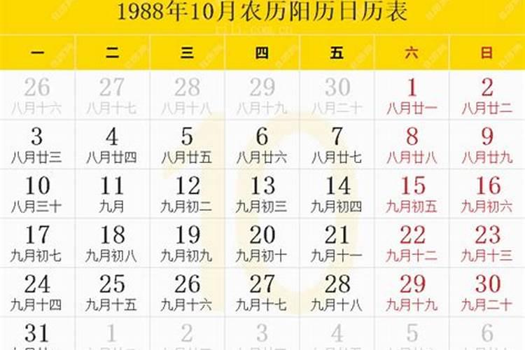 女龙1988年农历十月初六/新历11月14出生时辰下午四点多。知道的帮忙算...