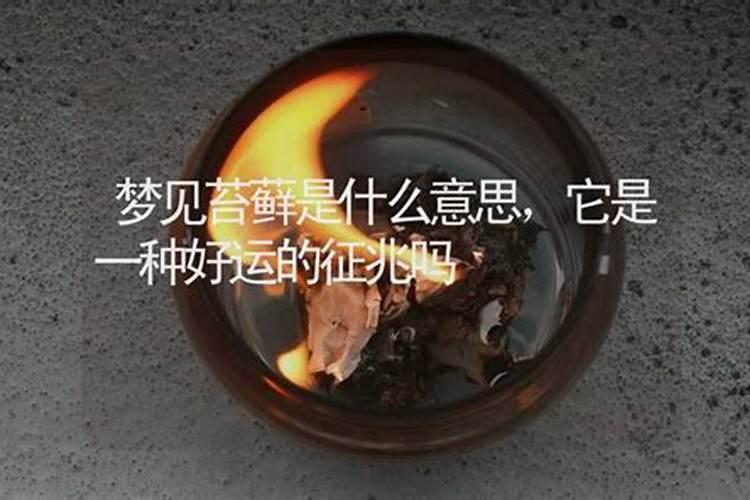 做梦梦见什么是吉兆