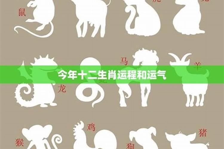 第一运程2025年6月10日十二生肖运势