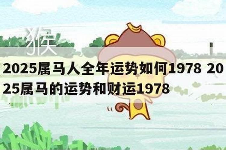 2025年的马全年运势如何