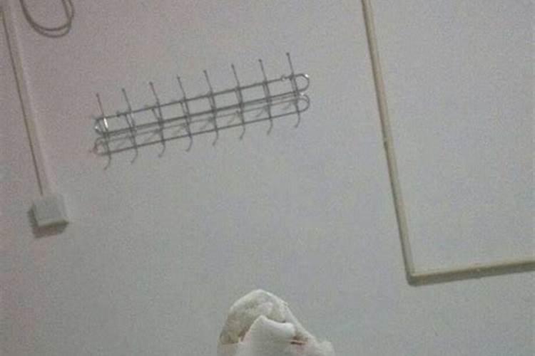 梦见妈妈又生儿子