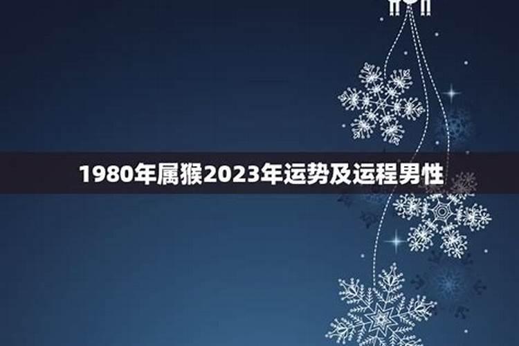 1980年2025年属猴的运势详解