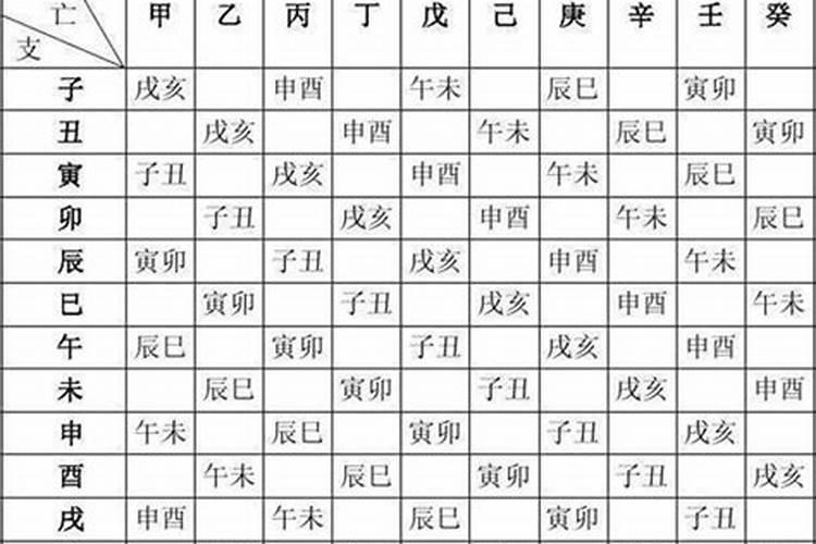 1982年属狗男士(43岁)2025年运势详解,逐月运势一网打尽
