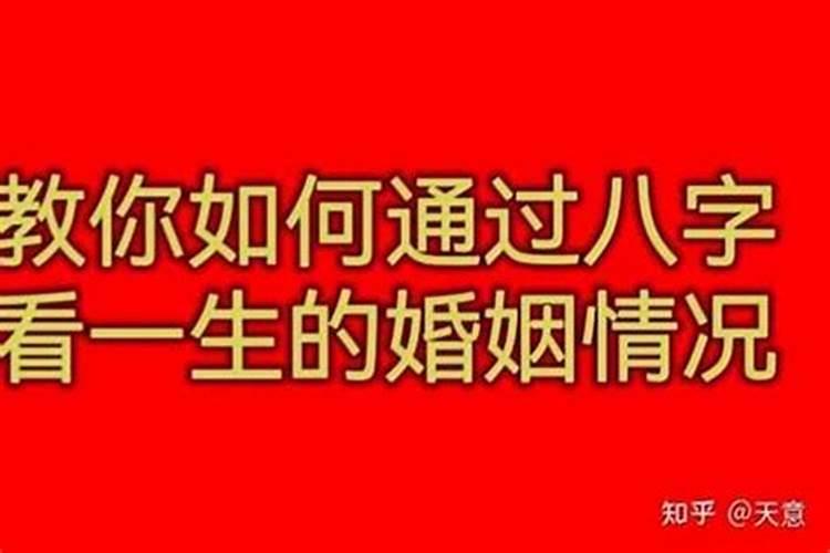 属牛2025年运势详解
