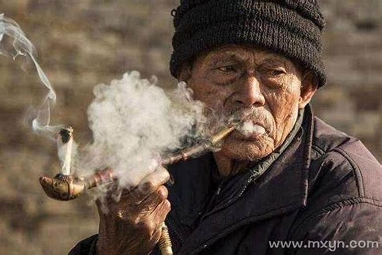 2025年属牛的全年运势