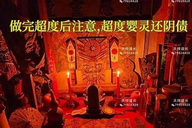 20256月5号生肖运势