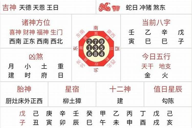 2025年各属相运势及运程
