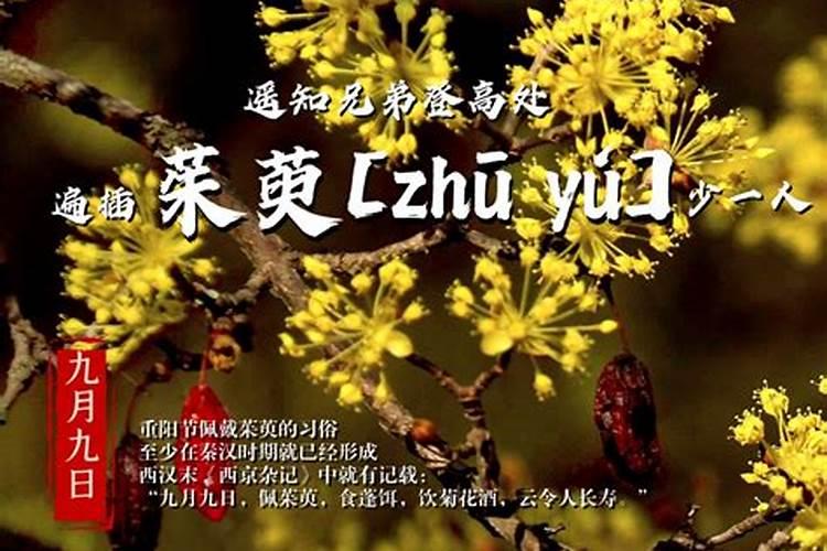 纹身纹什么旺财？