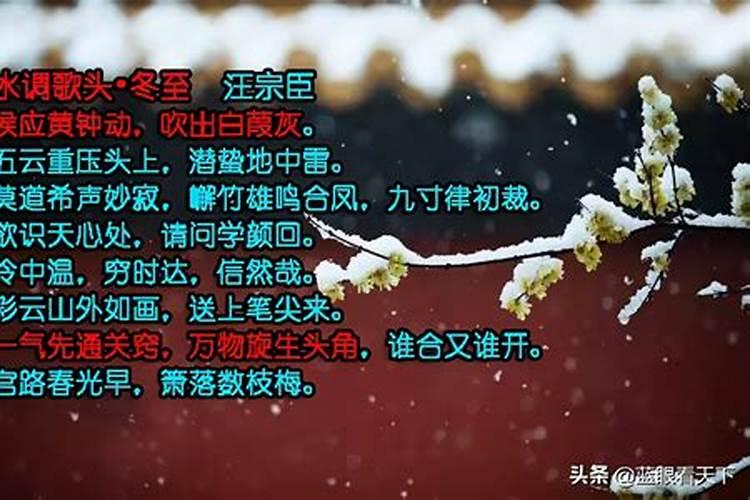 梦见乌龟是怎么回事 梦见乌龟的寓意