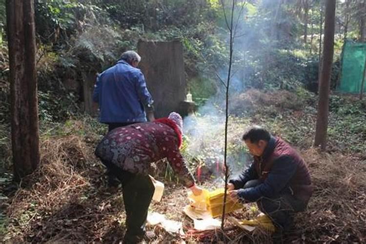 1975属兔女在2025年的每月运势