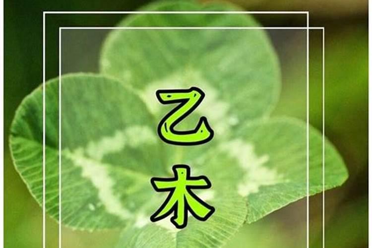 属鼠人2025年运势分析