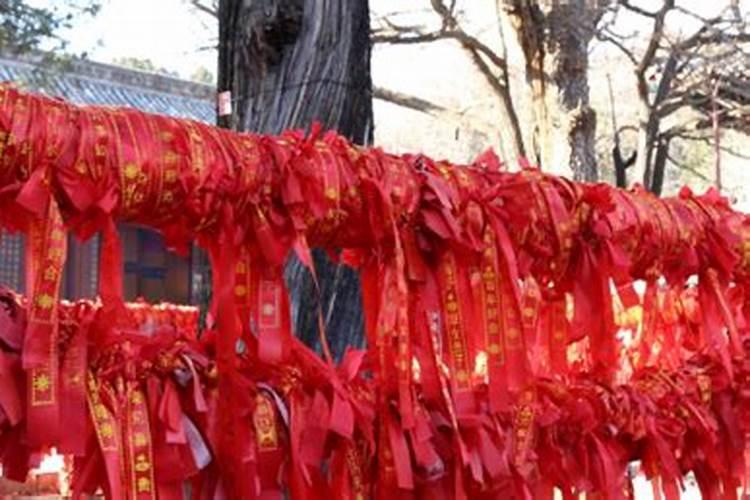 95年属猪人2025年可以生蛇宝宝吗