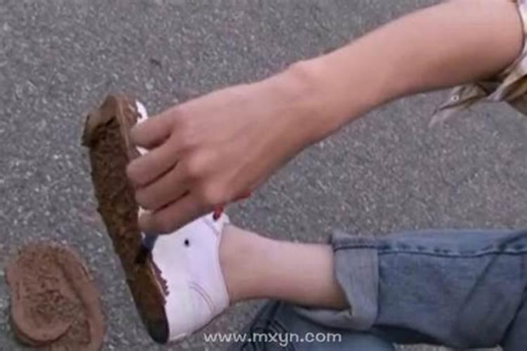 属虎男和属鸡女的婚姻相配吗