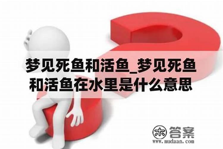 属虎的人遇到属鸡的人