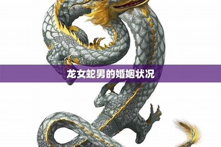 龙男女蛇属相合吗