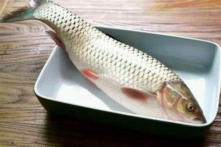 梦见臭鱼是什么意思？