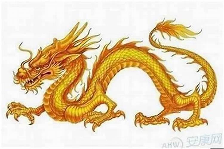 属龙和属龙的相配吗属龙和什么属相不合