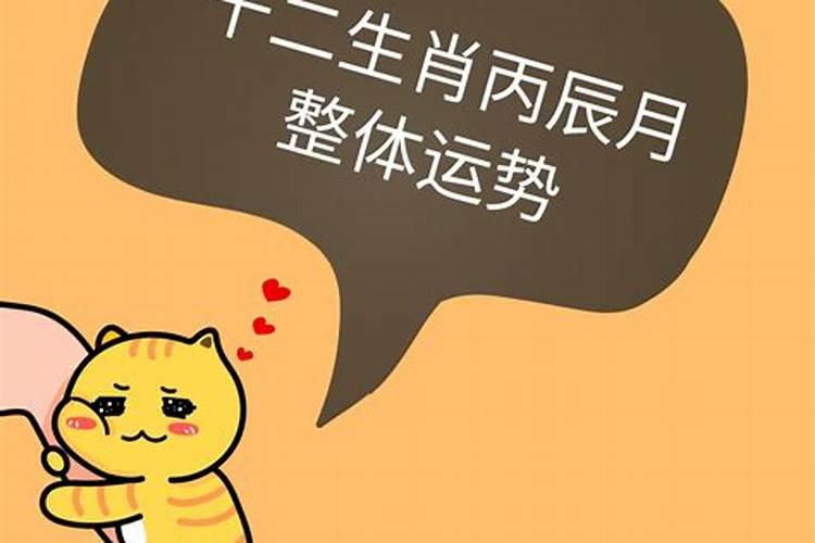 70属狗人2025年及以后的运势