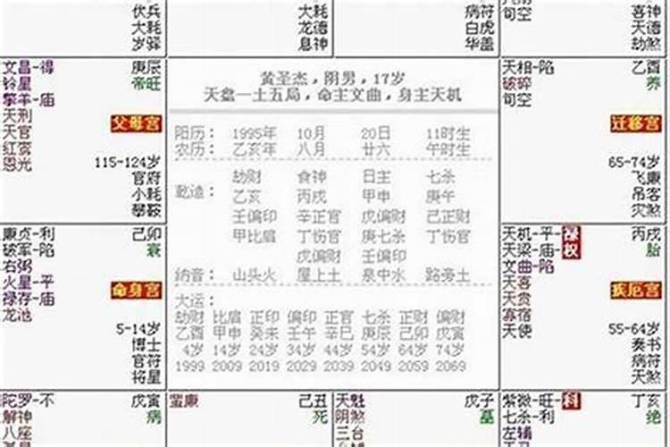 生肖蛇2025年运势及运程如何