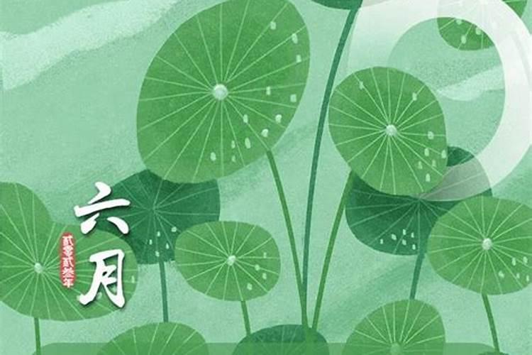 兔和兔的婚姻相配吗两个都属兔可以结婚吗