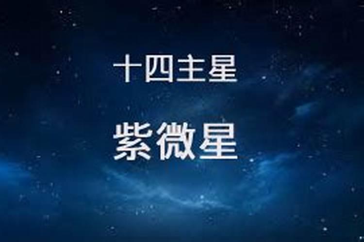 紫薇14主星是怎么分的？
