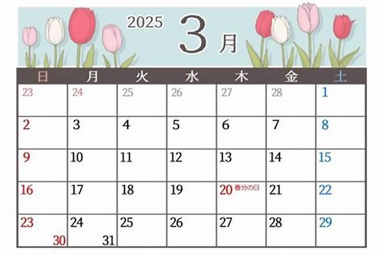 生肖猪2025年每月运势