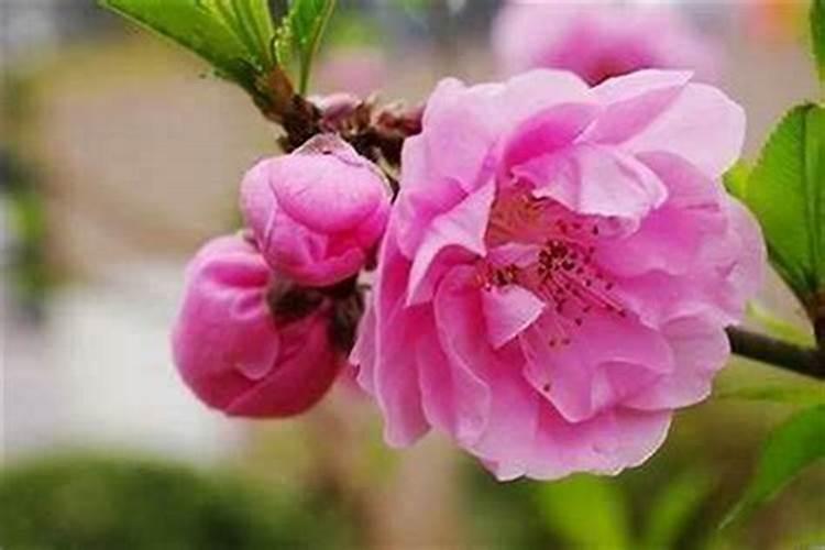 广西年例风俗