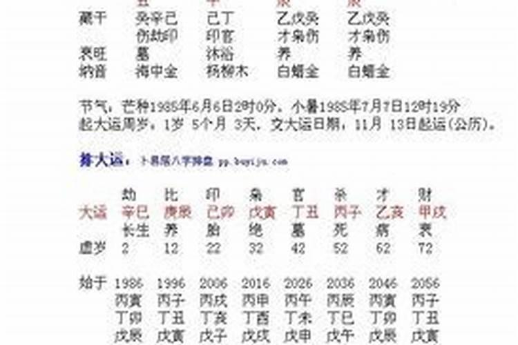 1985年属牛2024年运势 1985年牛年出生的人性格