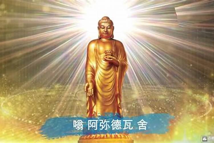 属马和属狗的合不合