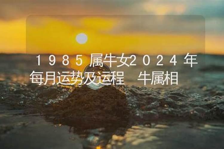 属虎2025年犯太岁怎么化解