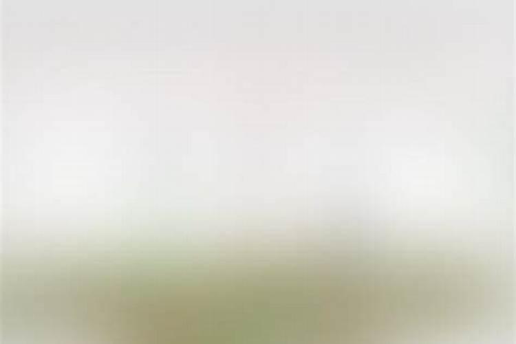上海城隍庙可以烧纸元宝吗