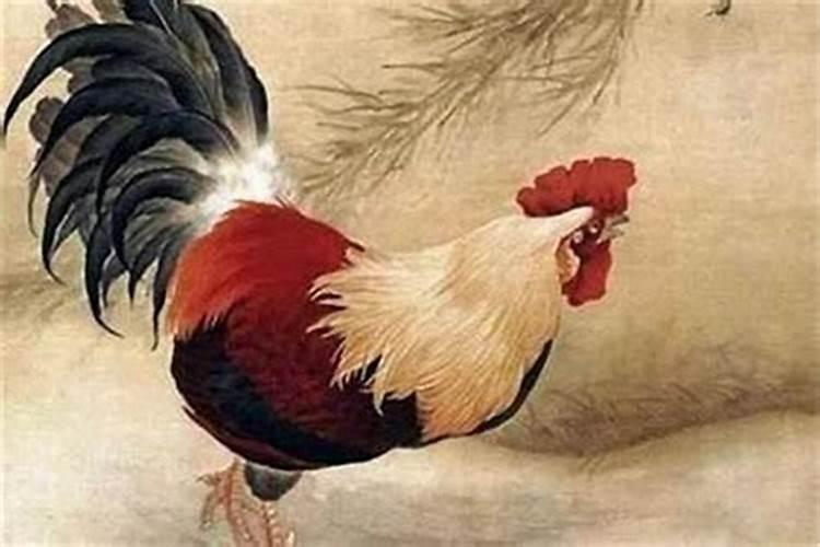本命年牛年注意什么